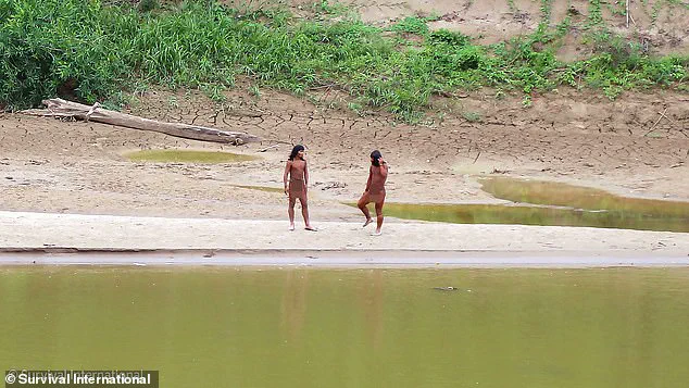 Amazon's Isolated Mashco Piro Tribe at Risk of Extinction from Common Cold Due to Lack of Immunity