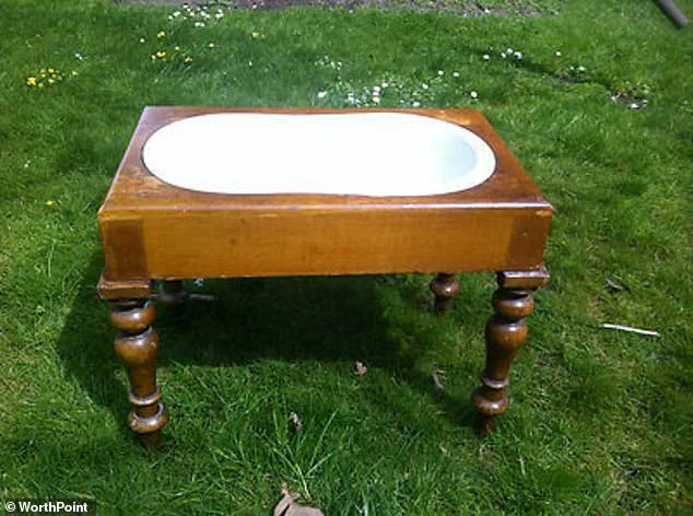 Enigmatic 19th-Century Wooden Bowl's Purpose Revealed by Online Sleuths