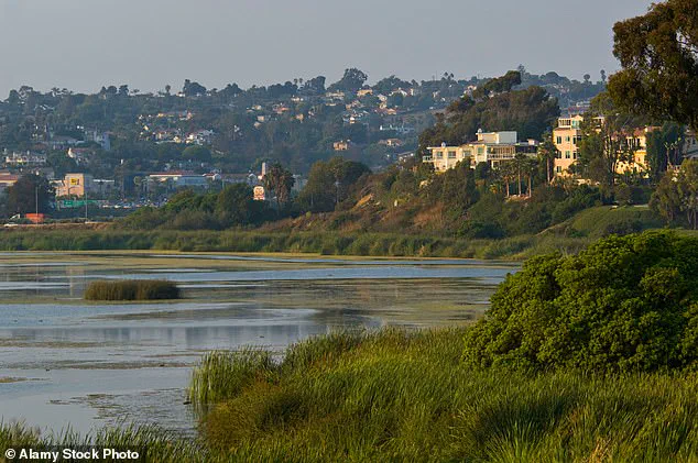 California Magnate Fined $1.4 Million for Blocking Public Beach Access with Private Gate