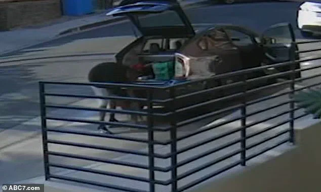 Surveillance Video Shows Food Delivery Driver Allegedly Stealing Beloved Cat Floki from West Hollywood Apartment Complex on September 27