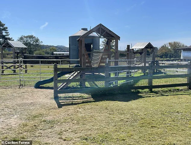 Six-Year-Old's Tragic Death During Georgia Field Trip Sparks Outcry for Safety Reforms: 'We Need Answers' Says Grieving Family