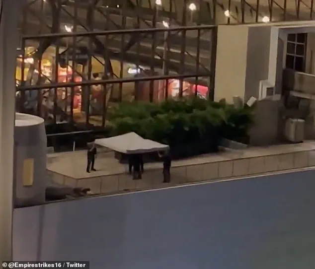 Disney Superfan Summer Equitz Vanishes, Later Found Dead by Suicide at Walt Disney World