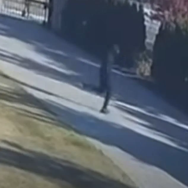 Security Footage Shows Suspect in Black Opening Fire on Arab-American Entrepreneur's Front Yard in Macomb County, Michigan