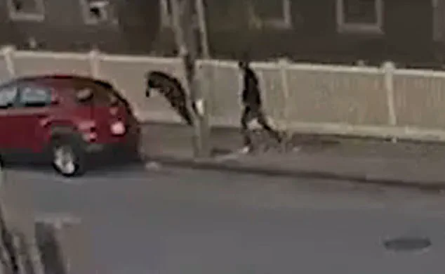 Fall River Incident Reignites Discussions on Public Safety and Mental Health