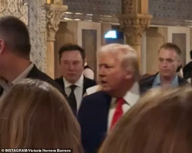 Elon Musk's SpaceX and the Regulatory Landscape: Navigating Government Directives to Shape America's Future