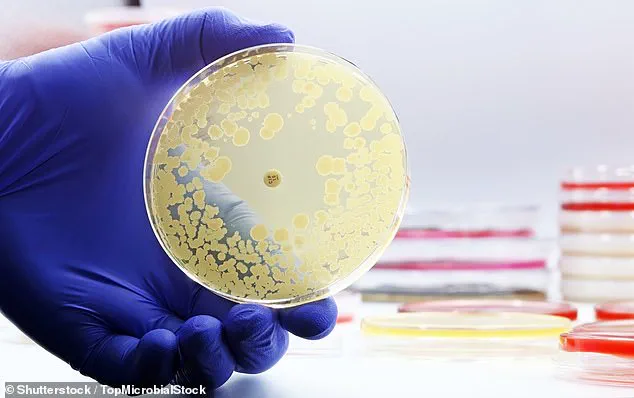 Three-Year Study Reveals E. coli Contamination in Airline Drinking Water Across 21 Carriers, Raising Concerns About Safety Protocols