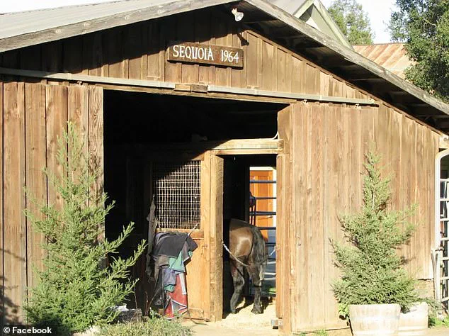 Legal and Financial Storm for Mental Health Entrepreneur Vikram Beri After Napa Valley Incident