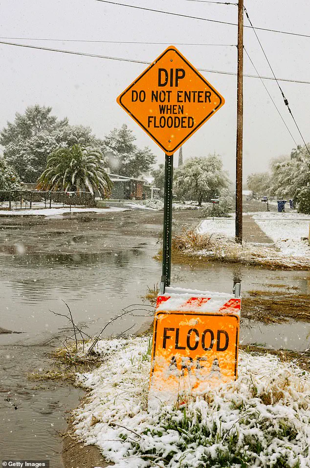 Arizona Drivers Face New Challenges as State Introduces Sweeping Traffic Law Updates: 'This is a Necessary Step to Save Lives,' Says Transportation Official