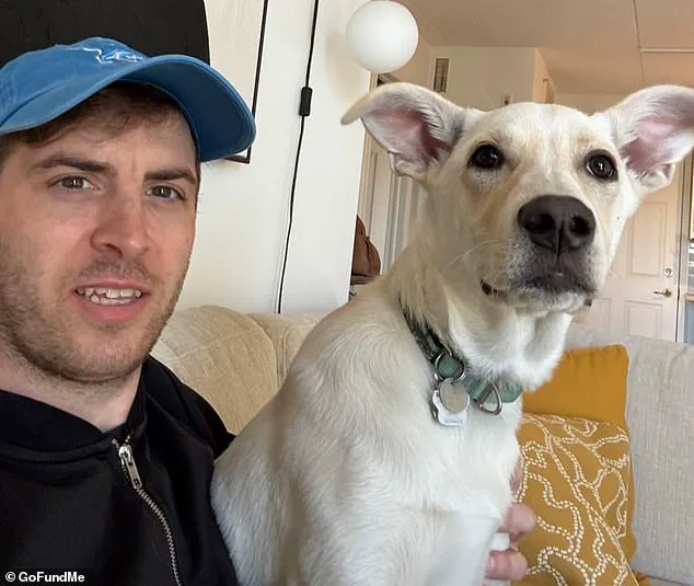 British Expatriate Dies in Toronto Altercation, Police Investigate