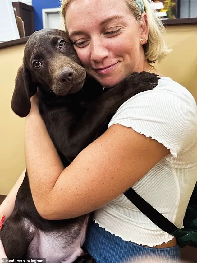 Shocking Incident in Pittsburgh's Strip District: Woman and Her Dog Electrocuted While Jogging Near Light Pole