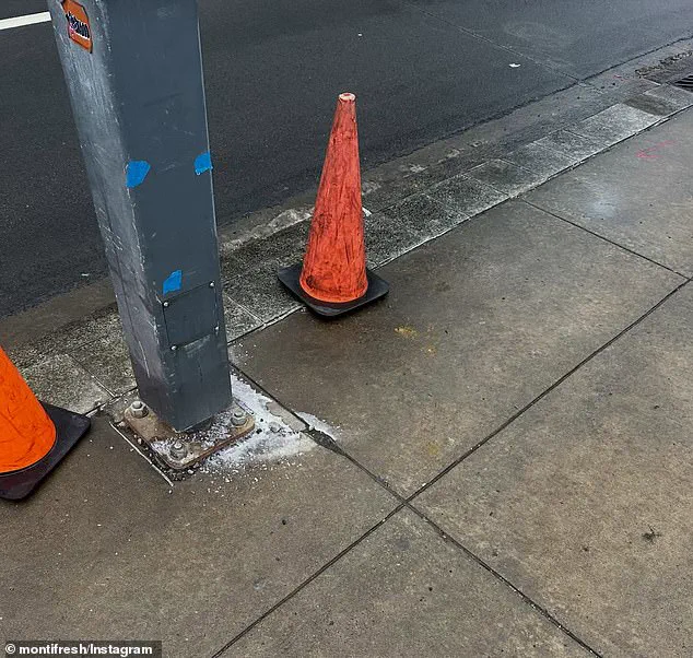 Shocking Incident in Pittsburgh's Strip District: Woman and Her Dog Electrocuted While Jogging Near Light Pole