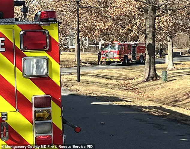 Heat Lamp Sparks Devastating Fire, Raising Safety Concerns in Residential Areas