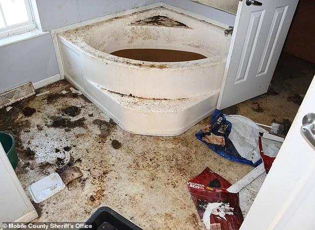 A Chilling Letter and 87 Tally Marks: The Story of a 14-Year-Old Girl Left to Suffer in Alabama's Squalor