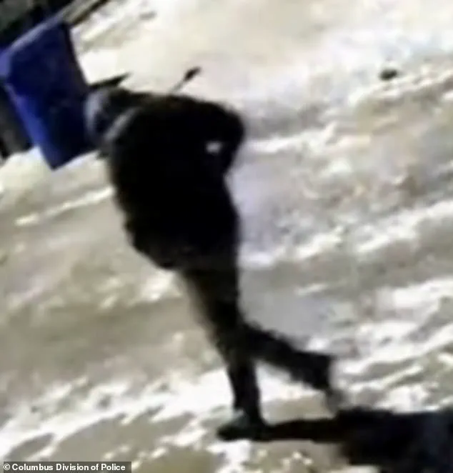 Behind Closed Doors: The Untold Story of the Tepe Murders and the Hidden Loopholes in Law Enforcement Protocols