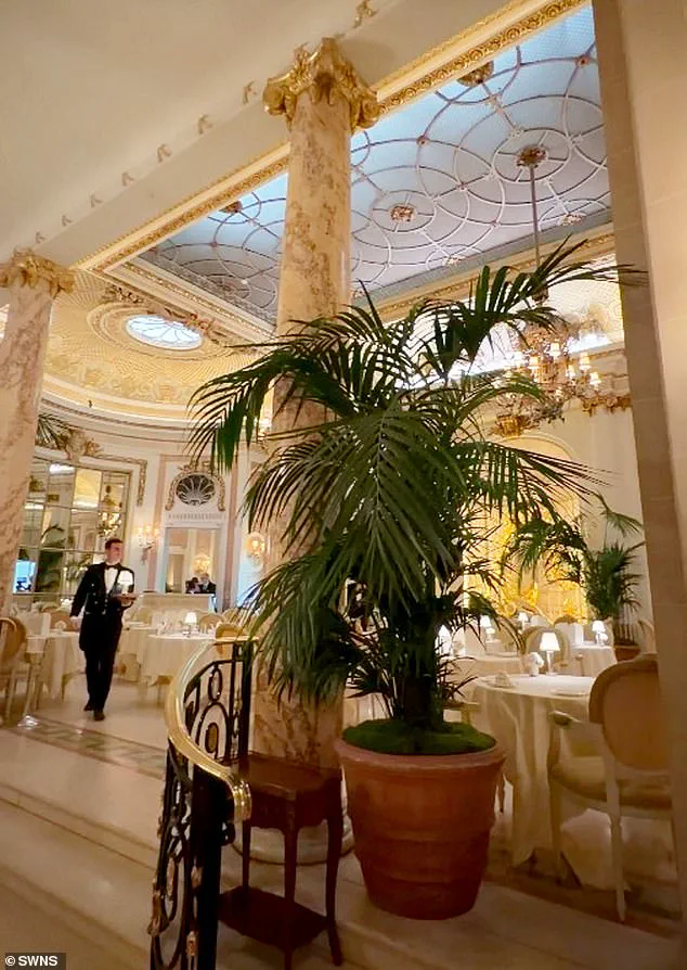 Ritz London Investigates After Mouse Incident at Afternoon Tea: 'Fawlty Towers-Style Scenario' Shocks Customers Paying Premium Prices