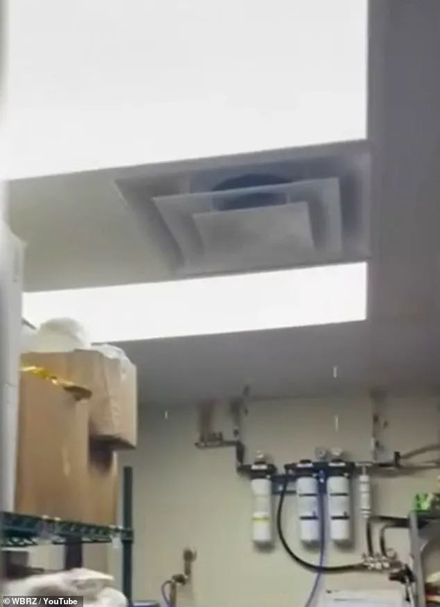 Wendy's Restaurant in Louisiana Raises Alarming Concerns Over Mold, Structural Damage, and Flooding, Sparking Health and Safety Warnings