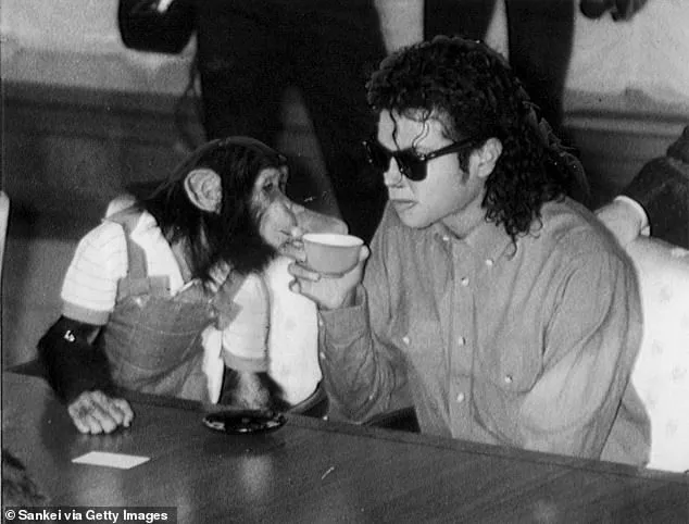 From Global Star to Quiet Life: How Regulations Reshape the Fate of Bubbles, Michael Jackson's Chimpanzee