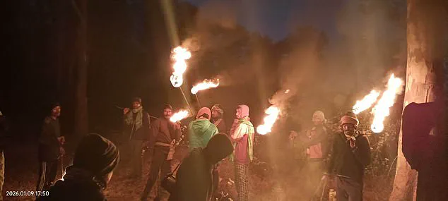 Terrified Villagers in Jharkhand Flee as Musth-Driven Elephant Claims 22 Lives