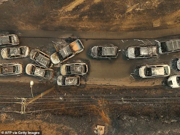 Chile Wildfires Claim 18 Lives, Force 50,000 Evacuations as Blazes Rage On