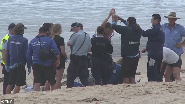 Sydney Beaches Locked Down After Back-to-Back Shark Attacks Injure Three, Including Two Children