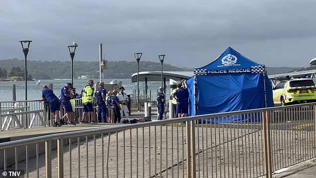 Sydney Beaches Locked Down After Back-to-Back Shark Attacks Injure Three, Including Two Children