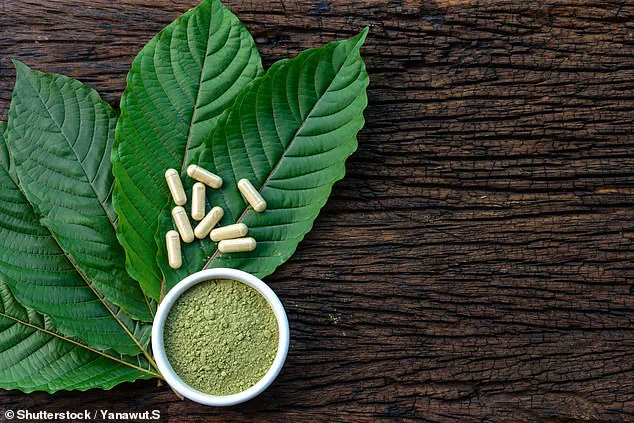 Toxicology Report Reveals Multiple Substances in System of Deceased Chess Grandmaster, Raising Questions About Public Health and Regulation