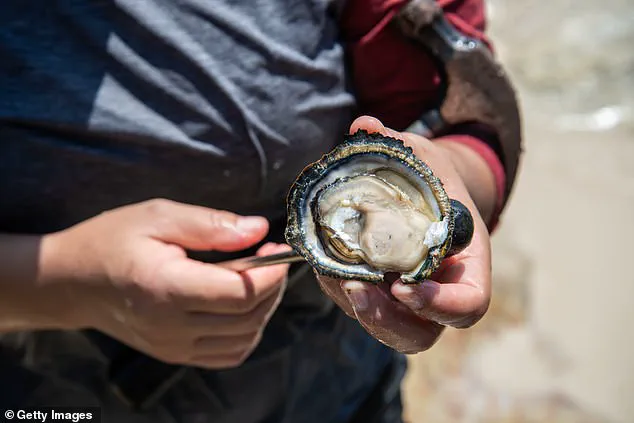 Boston Harbor Reopens for Shellfish Harvesting Following Multibillion-Dollar Cleanup Effort After Over a Century of Restrictions