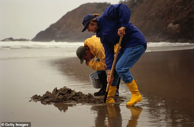 Boston Harbor Reopens for Shellfish Harvesting Following Multibillion-Dollar Cleanup Effort After Over a Century of Restrictions