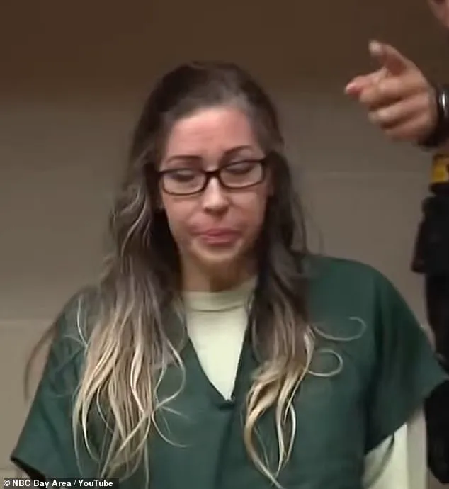 Child Protection Laws in Focus as 'Los Gatos Party Mom' Trial Begins