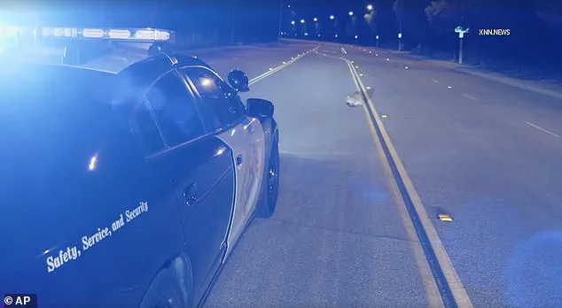 Six-Month-Old Mountain Lion Cub Found Motionless on Hillcrest Parkway in Los Angeles