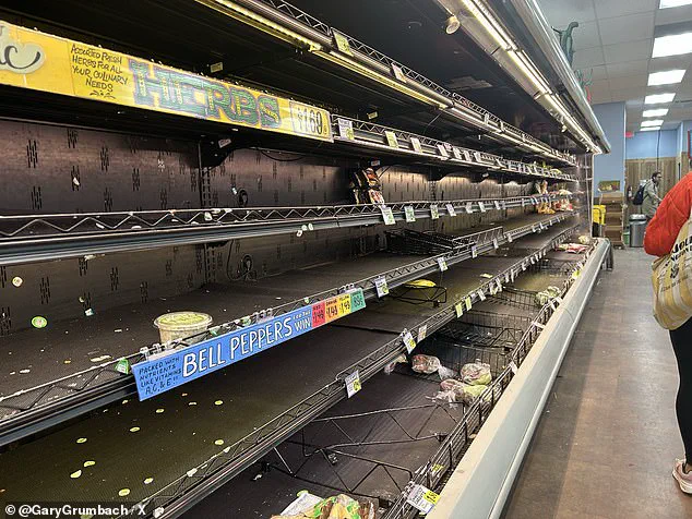 Government Alerts Millions as Historic Ice Storm 'Fern' Threatens Widespread Disruption Across 34 States