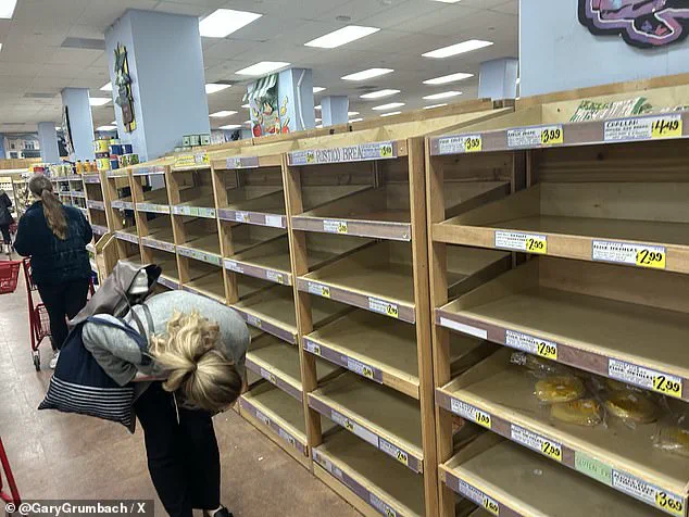 Government Alerts Millions as Historic Ice Storm 'Fern' Threatens Widespread Disruption Across 34 States