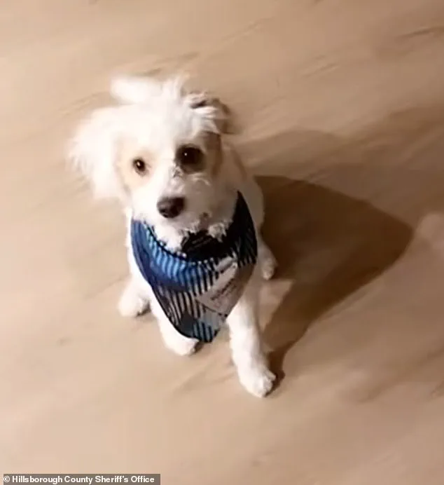 Community Outrage as Former Florida Cop Accused of Poisoning Ex's Dog