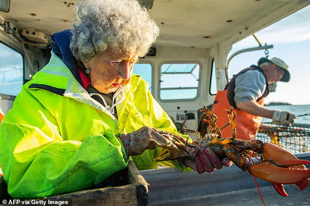 Legacy of the Lobster Lady: Virginia Oliver's Enduring Impact on Maine's Coastal Community