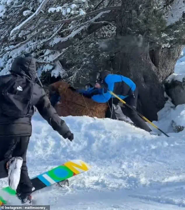 Chewbacca-Costumed Skier Brutally Attacked in Viral Outburst at Val Thorens