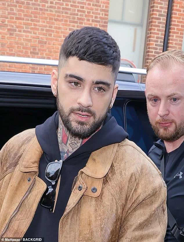 Leaked Email Chain Exposing Celebrities Labeled 'Anti-Israel' by Epstein, Including Zayn Malik and Emma Thompson