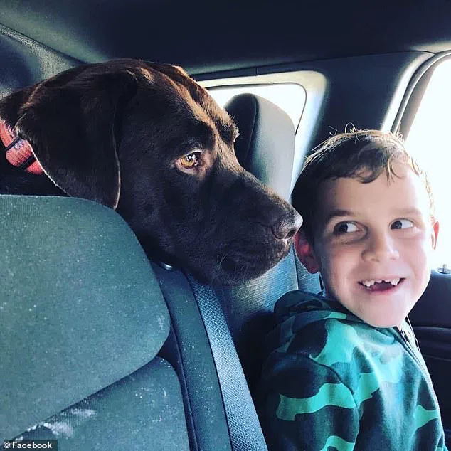 Quadruple Murder-Suicide Shocks Perth Suburb as Family Found Dead in Home