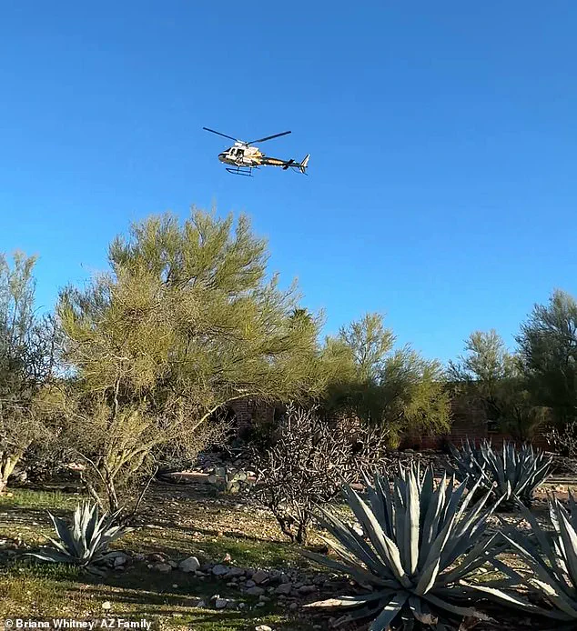 High-Stakes Manhunt for 84-Year-Old Nancy Guthrie in Tucson: Expert Warns of Multiple Perpetrators