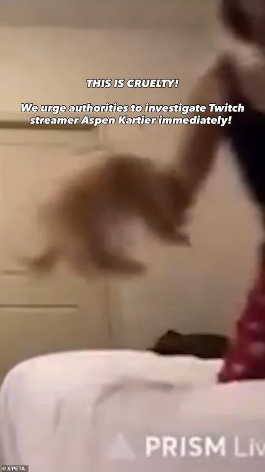 Rapper Aspen Kartier Faces Controversy After Viral Video Allegedly Shows Dog Abuse During Twitch Stream