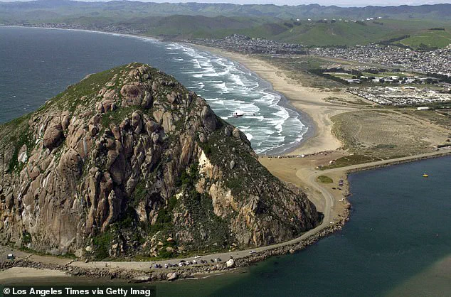 Surfer's Harrowing Testimony Details Violent Encounter with Paddleboarder in Morro Bay