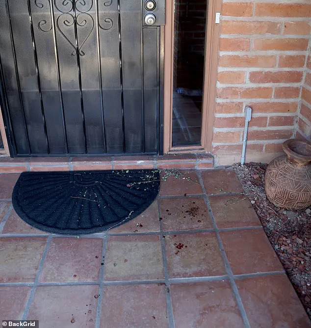 Nancy Guthrie's Disappearance: FBI Agent Suggests Revenge Motive Amid Bitcoin Ransom Note