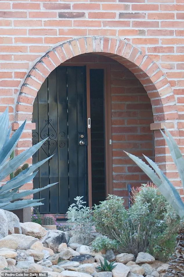 Neighbor Spots Suspicious Van Before Tucson Grandma's Disappearance