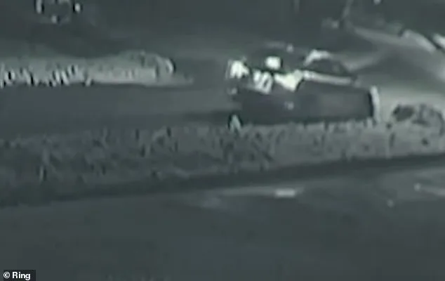 Tragic Death of Yuan Yuan Lu Highlights System Failure in Domestic Violence Cases