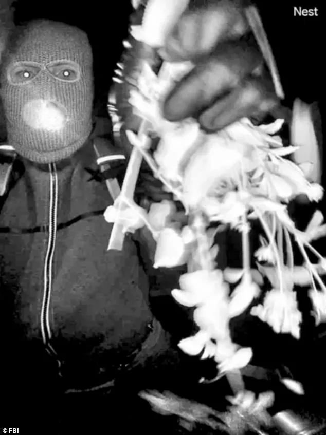 FBI Investigation into Nancy Guthrie's Disappearance Stalls Over Pima County Lab Delays