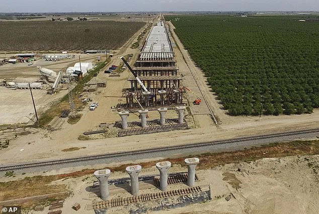 California High-Speed Rail Chief Ian Choudri Arrested in Domestic Disturbance