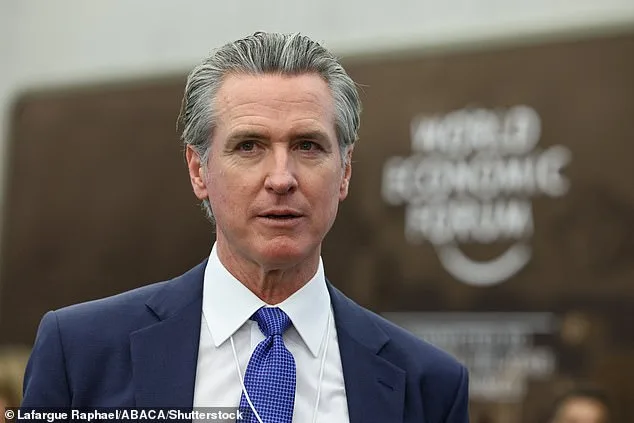 Democratic Party's 2028 Prospects in Question as Op-Ed Highlights Lack of Strong Candidates