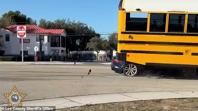 High-Speed Jaguar Crash Into School Bus in Fort Myers Leaves No Serious Injuries