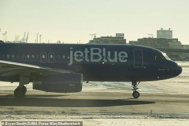 Newark Airport Grounded by JetBlue Emergency: Safety vs. Efficiency in the Spotlight
