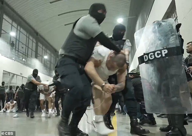 Bari Weiss Pulls Out of UCLA Lecture Amid Security Concerns and Hypocrisy Claims