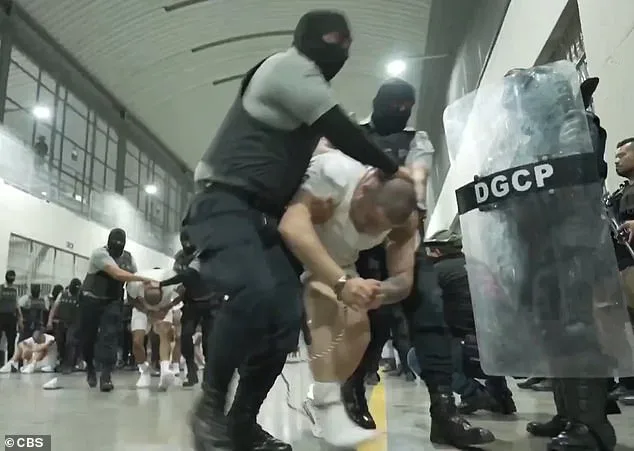 Bari Weiss Pulls Out of UCLA Lecture Amid Security Concerns and Hypocrisy Claims